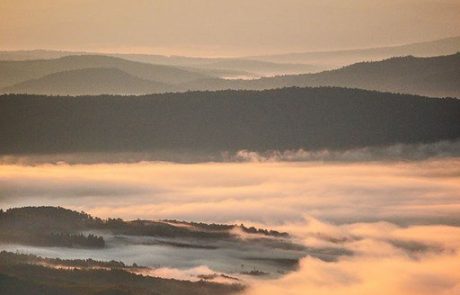 Mont-Hereford-049