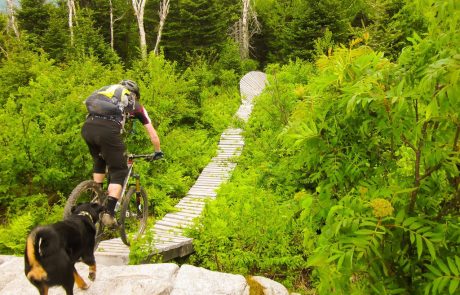 Vélo-de-montagne-Circuits-frontières-David-Lauzon